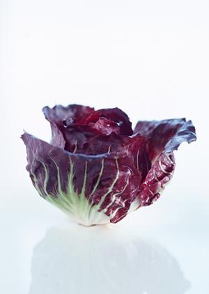 ミナミで新人が働きやすいホストクラブ